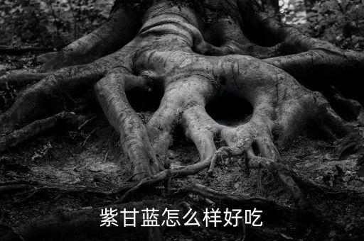 紫甘藍怎么樣好吃