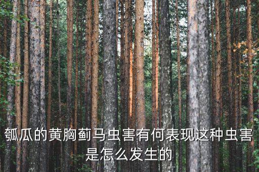 瓠瓜的黃胸薊馬蟲害有何表現這種蟲害是怎么發生的