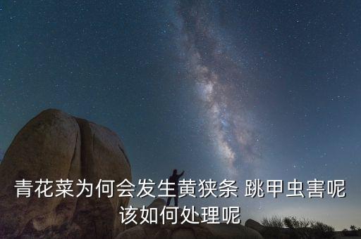 蔬菜用什么農藥殺害跳甲,什么農藥專治跳甲