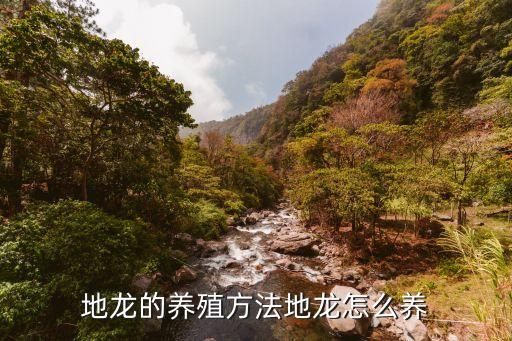 地龍的養殖方法地龍怎么養