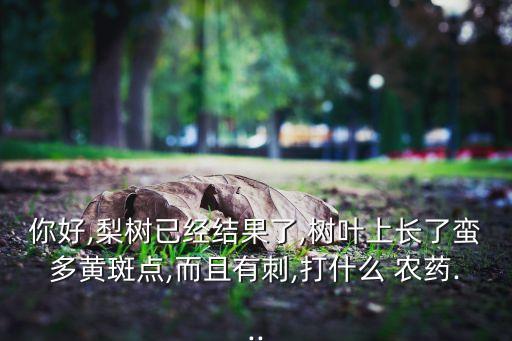 梨要噴什么農(nóng)藥,用什么農(nóng)藥噴毛毛蟲最有效