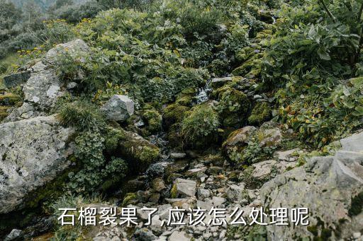 石榴開裂打什么農藥好用,石榴用什么農藥保果