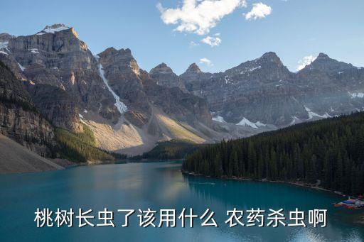 打實心蟲用什么農藥好用,打地下蟲用什么農藥