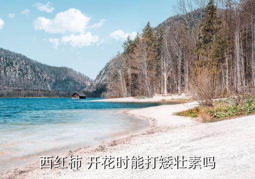 番茄開花用什么農藥,小番茄開花了施什么肥