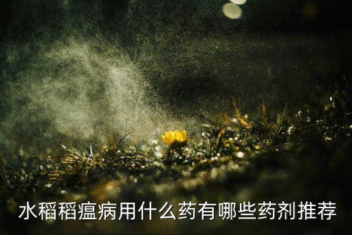 水稻噴農藥打什么藥好,什么農藥對水稻傷害最大