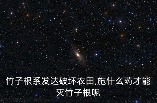 竹子根系發(fā)達破壞農田,施什么藥才能滅竹子根呢