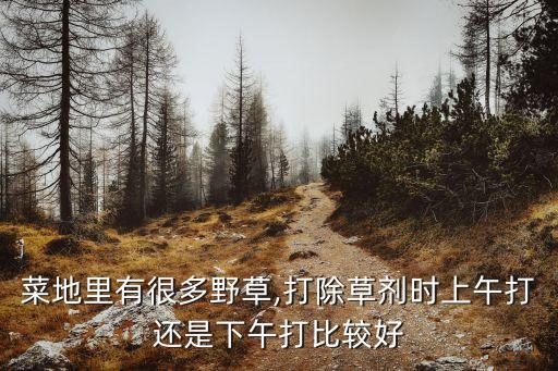 菜地里有很多野草,打除草劑時上午打還是下午打比較好
