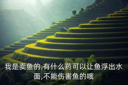 我是賣魚的,有什么藥可以讓魚浮出水面,不能傷害魚的哦