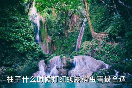 柚子打什么農(nóng)藥好吃點(diǎn),柚子什么形狀的比較好吃