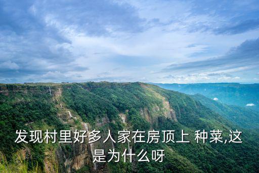 ,樓頂種菜打什么農(nóng)藥最好