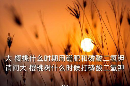 大 櫻桃什么時期用硼肥和磷酸二氫鉀請問大 櫻桃樹什么時候打磷酸二氫鉀...