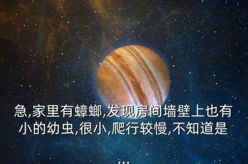 急,家里有蟑螂,發現房間墻壁上也有小的幼蟲,很小,爬行較慢,不知道是...