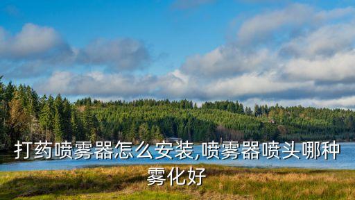 打藥噴霧器怎么安裝,噴霧器噴頭哪種霧化好