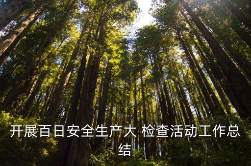 開展百日安全生產大 檢查活動工作總結