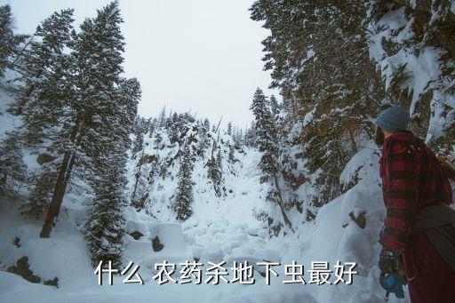 用什么農藥打效果好 最好,一般什么時間打農藥最好