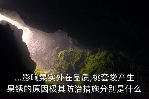 ...影響果實(shí)外在品質(zhì),桃套袋產(chǎn)生果銹的原因極其防治措施分別是什么