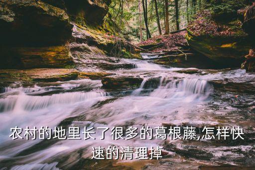 農村的地里長了很多的葛根藤,怎樣快速的清理掉