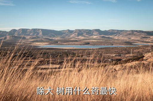 除大 樹用什么藥最快