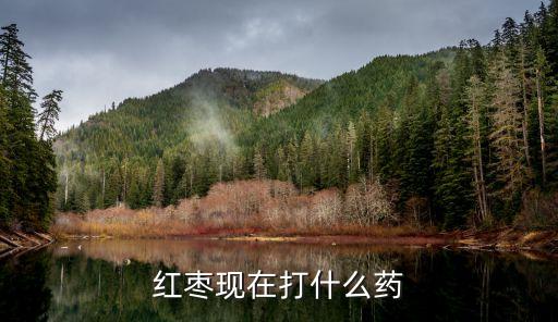 紅棗現在打什么藥