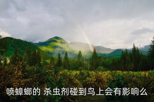 什么農藥殺蟲不殺鳥兒,向日葵用什么農藥殺蟲