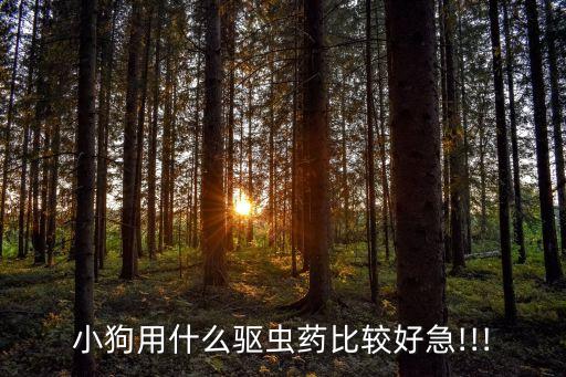 除吉利狗子用什么農(nóng)藥,吉利狗子治什么病