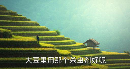  大豆里用那個殺蟲劑好呢