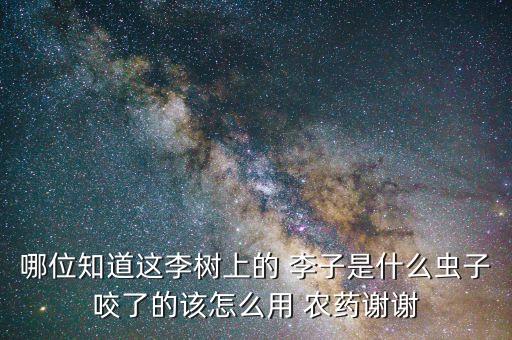 李子爛果打什么農藥,李子掉果什么原因,怎么解決?