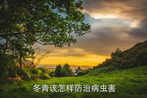 什么農藥可以讓冬青枯萎,冬青打什么農藥