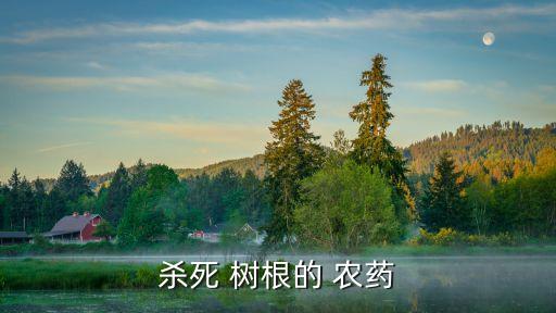 什么農藥能把樹根去掉,野樹根用什么農藥