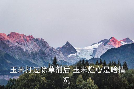  玉米打過(guò)除草劑后 玉米爛心是啥情況