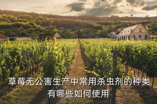  草莓無公害生產中常用殺蟲劑的種類有哪些如何使用