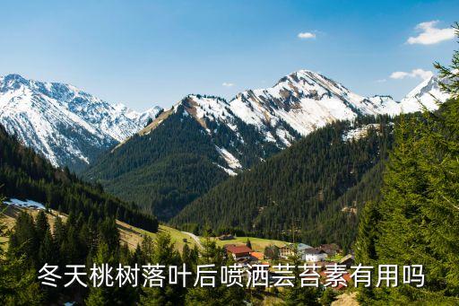  冬天桃樹落葉后噴灑蕓苔素有用嗎
