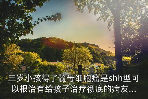 三歲小孩得了髓母細胞瘤是shh型可以根治有給孩子治療徹底的病友...
