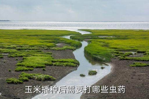 玉米苗中期打什么農藥,玉米中期施什么肥好