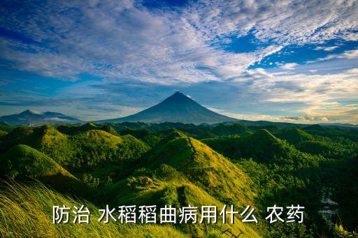 什么農藥可以滅水稻,水稻農藥什么時間打效果最好