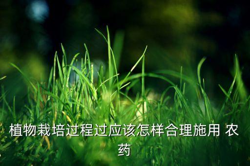 種植戶農藥使用注意什么