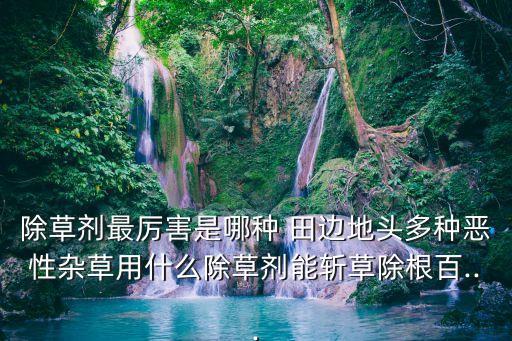 除草劑最厲害是哪種 田邊地頭多種惡性雜草用什么除草劑能斬草除根百...