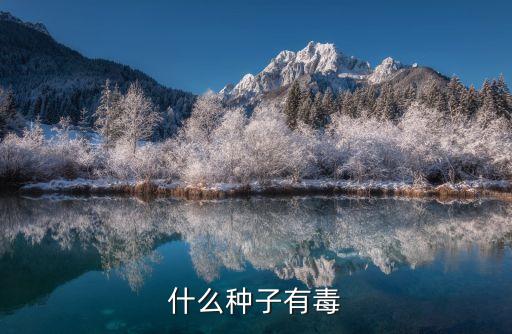 什么種子有毒