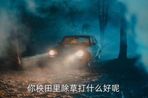 秧苗用什么農藥治,秧苗期間噴什么農藥好