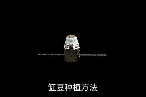 缸豆用什么農藥打,什么時間打農藥效果最佳