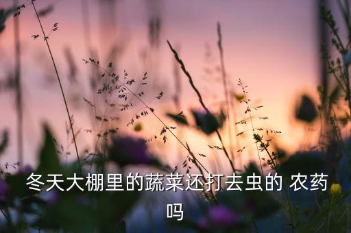  冬天大棚里的蔬菜還打去蟲的 農藥嗎