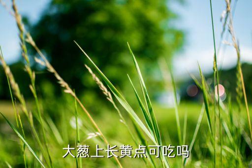 小蔥黃斑用什么農(nóng)藥,小蔥一般打什么農(nóng)藥