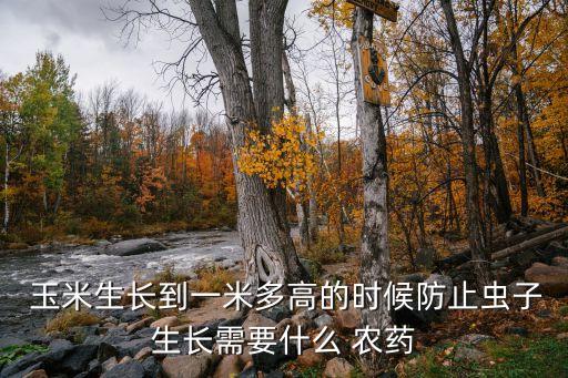  玉米生長到一米多高的時候防止蟲子生長需要什么 農藥