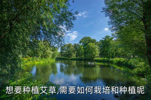 艾稿地里用什么農藥除草