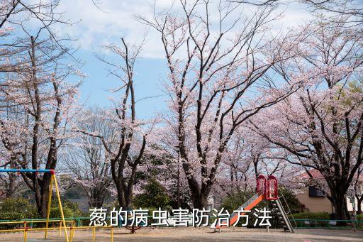 蔥的病蟲害防治方法