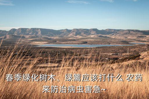 樹打農藥有什么用,什么農藥可以讓樹爛根