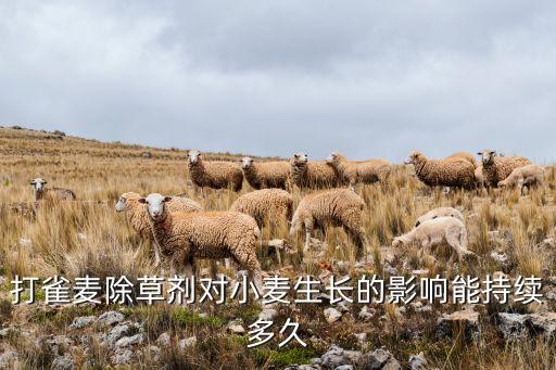 燕麥草用什么農藥除,燕麥用什么農藥能打死