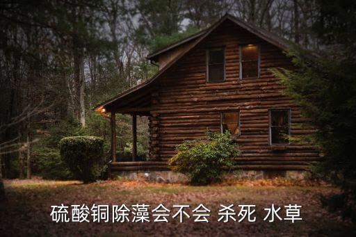 硫酸銅除藻會不會 殺死 水草