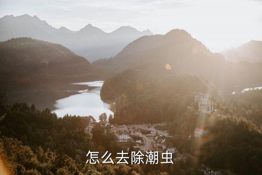 怎么去除潮蟲
