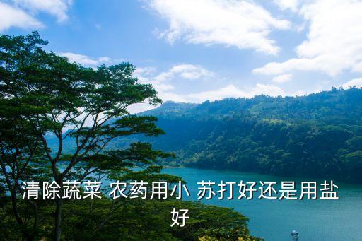 小蘇打為什么去除農藥,用小蘇打洗菜可以去除農藥嗎